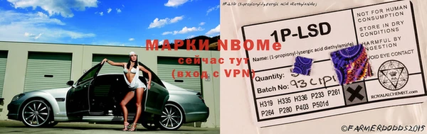 кокс Баксан