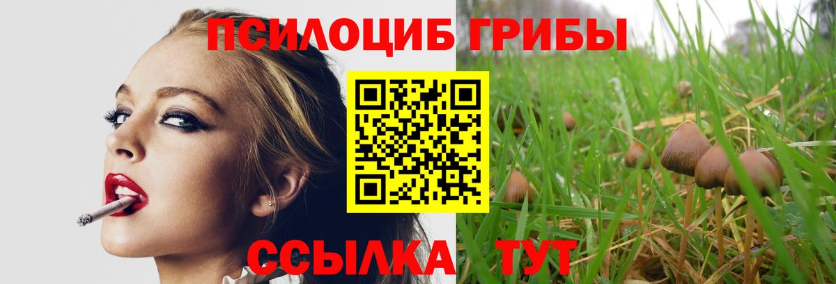 Галлюциногенные грибы GOLDEN TEACHER Корсаков